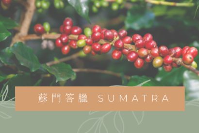 Thumbnail for 《咖啡產地介紹》蘇門答臘 SUMATRA