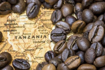 Thumbnail for 《咖啡產地介紹》坦尚尼亞 TANZANIA
