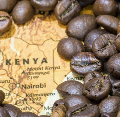 咖啡產地介紹|肯亞 KENYA|享SO